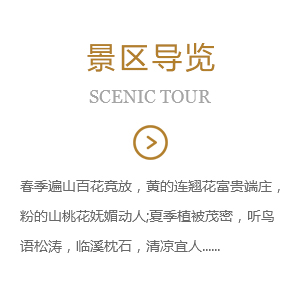 景区导览